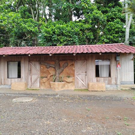 Hotel Del Bosque Río Cuarto Zewnętrze zdjęcie
