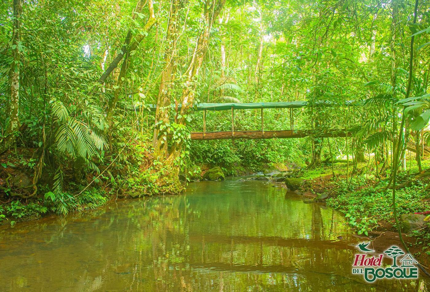 Hotel Del Bosque Río Cuarto Zewnętrze zdjęcie
