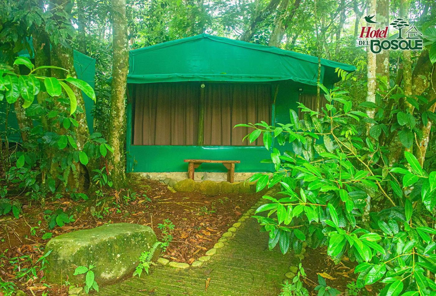 Hotel Del Bosque Río Cuarto Zewnętrze zdjęcie